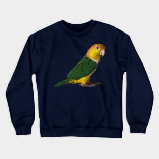 yellow-headed caique Crewneck Sweatshirt